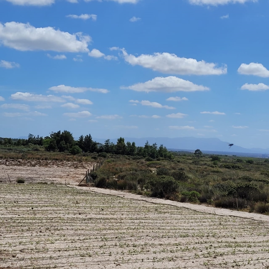 To Let 3 Bedroom Property for Rent in Hartebeesfontein Western Cape